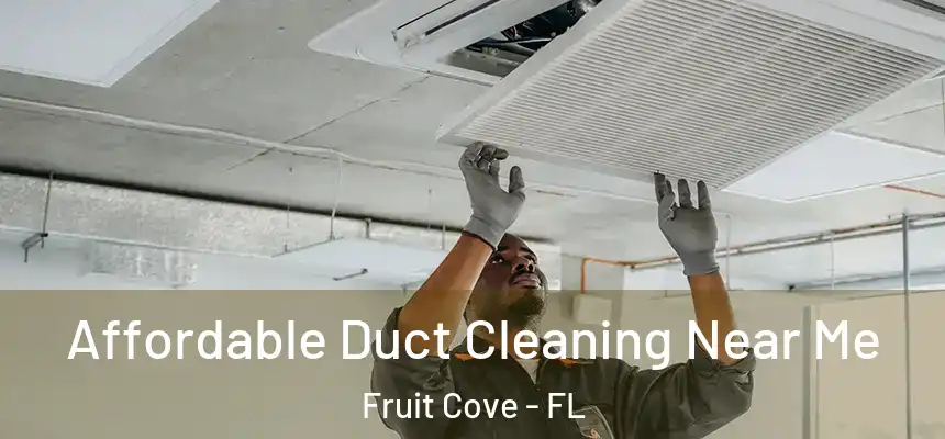 Affordable Duct Cleaning Near Me Fruit Cove - FL