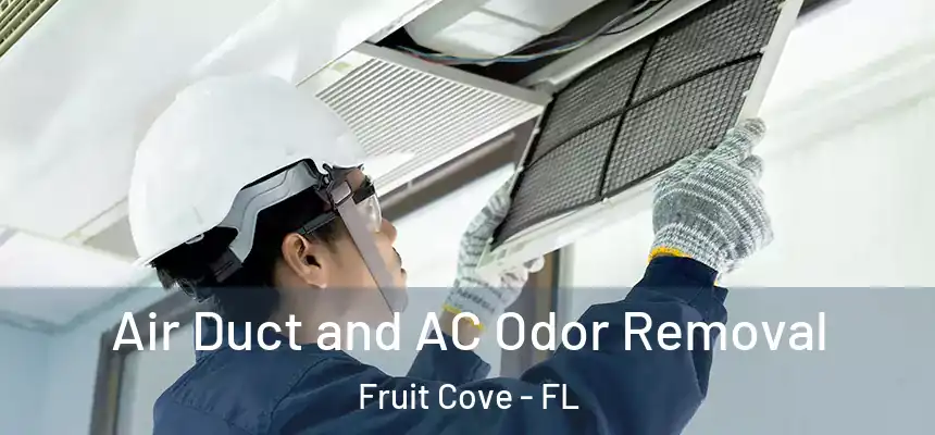 Air Duct and AC Odor Removal Fruit Cove - FL