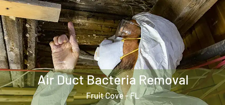 Air Duct Bacteria Removal Fruit Cove - FL