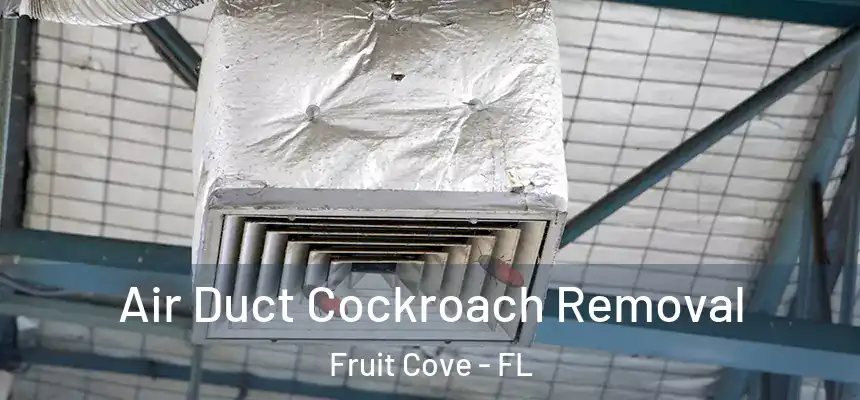 Air Duct Cockroach Removal Fruit Cove - FL