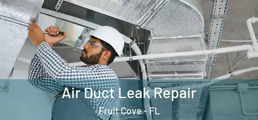 Air Duct Leak Repair Fruit Cove - FL