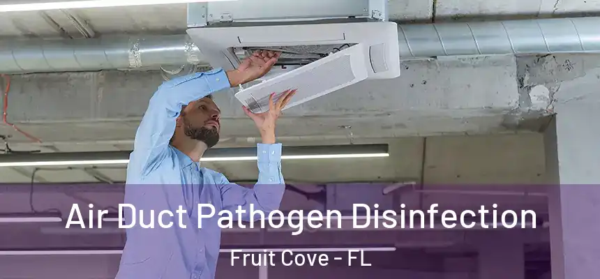 Air Duct Pathogen Disinfection Fruit Cove - FL