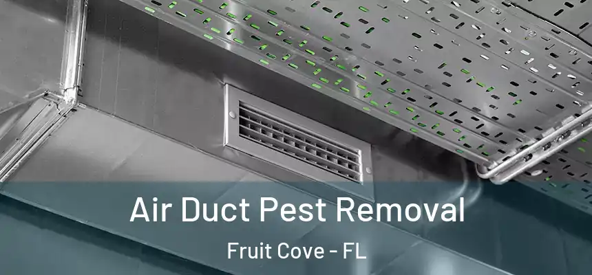 Air Duct Pest Removal Fruit Cove - FL