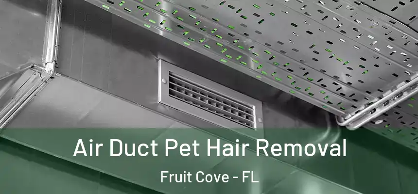 Air Duct Pet Hair Removal Fruit Cove - FL