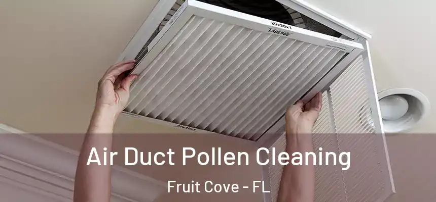 Air Duct Pollen Cleaning Fruit Cove - FL