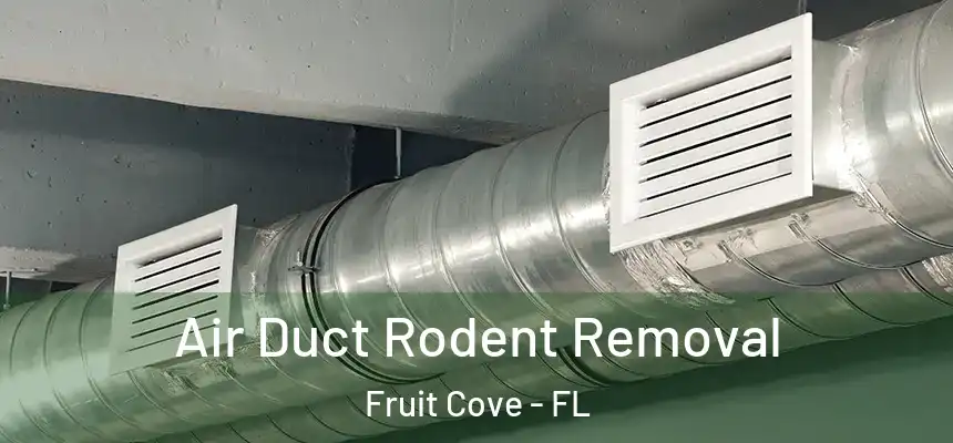 Air Duct Rodent Removal Fruit Cove - FL