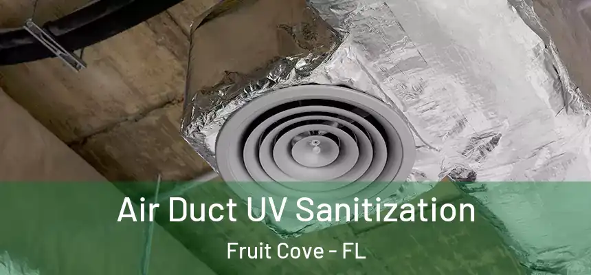 Air Duct UV Sanitization Fruit Cove - FL