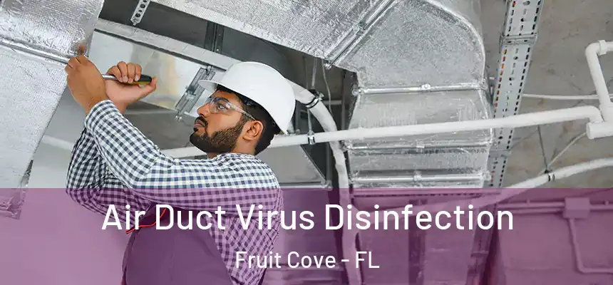Air Duct Virus Disinfection Fruit Cove - FL