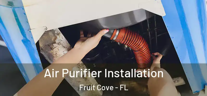 Air Purifier Installation Fruit Cove - FL