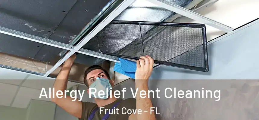 Allergy Relief Vent Cleaning Fruit Cove - FL