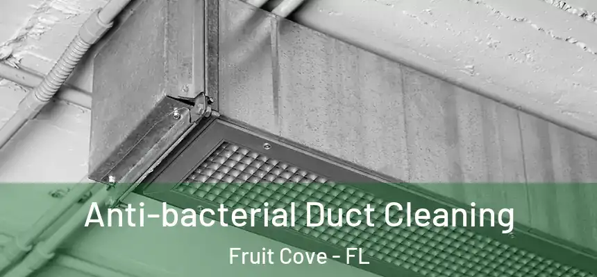 Anti-bacterial Duct Cleaning Fruit Cove - FL