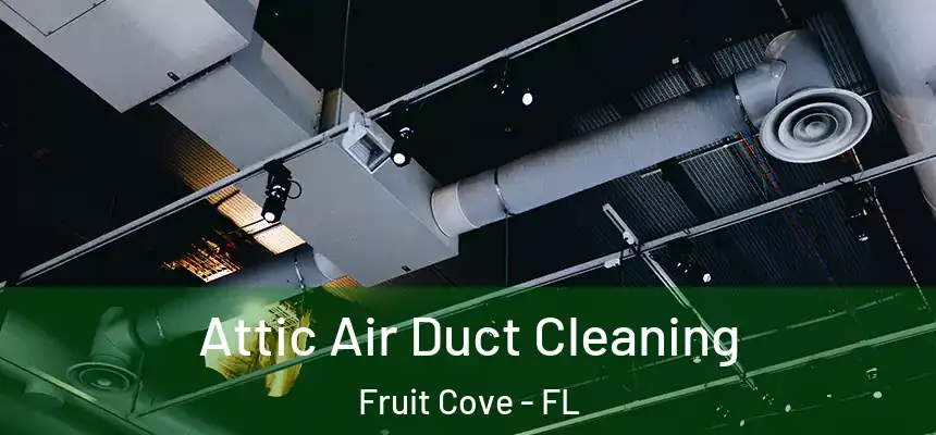 Attic Air Duct Cleaning Fruit Cove - FL