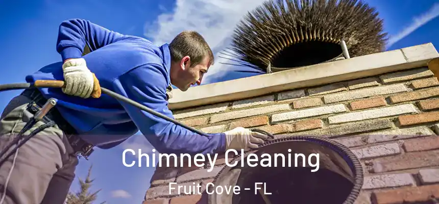 Chimney Cleaning Fruit Cove - FL