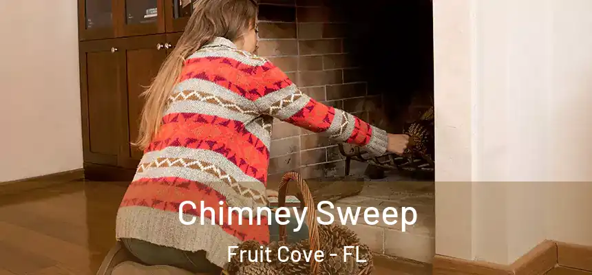 Chimney Sweep Fruit Cove - FL