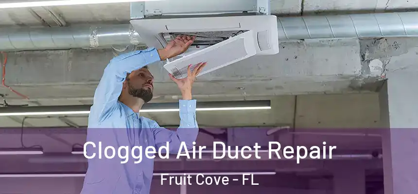 Clogged Air Duct Repair Fruit Cove - FL