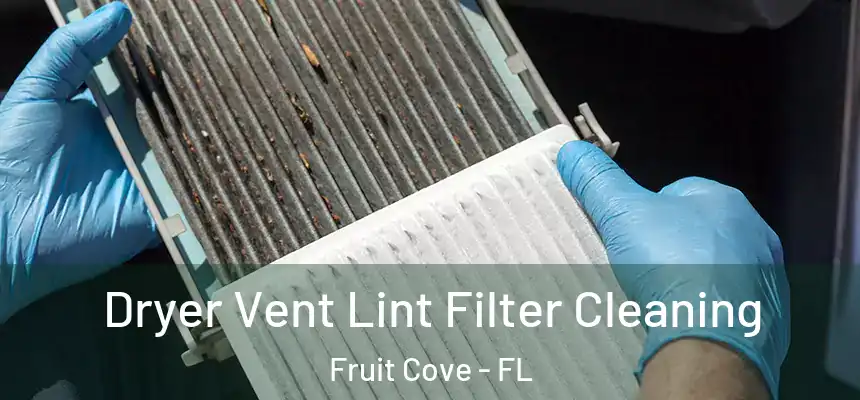 Dryer Vent Lint Filter Cleaning Fruit Cove - FL