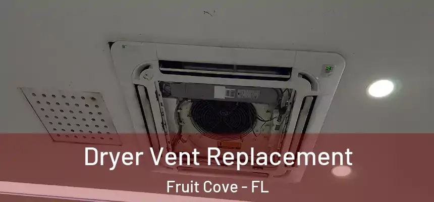  Dryer Vent Replacement Fruit Cove - FL
