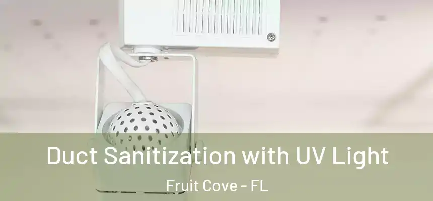 Duct Sanitization with UV Light Fruit Cove - FL