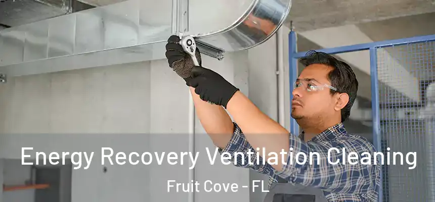 Energy Recovery Ventilation Cleaning Fruit Cove - FL