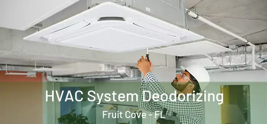 HVAC System Deodorizing Fruit Cove - FL