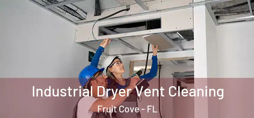 Industrial Dryer Vent Cleaning Fruit Cove - FL