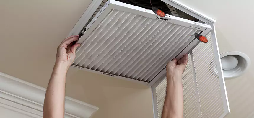 Preventive Cockroach-Proofing for Ducts in Fruit Cove