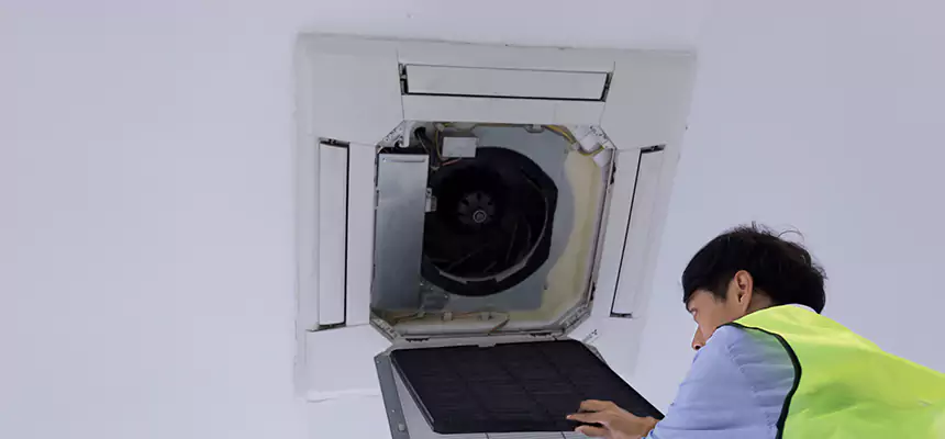 Our Dryer Vent Sanitization Service Services in Fruit Cove, FL