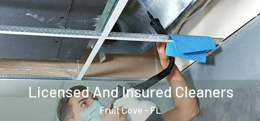 Licensed And Insured Cleaners Fruit Cove - FL