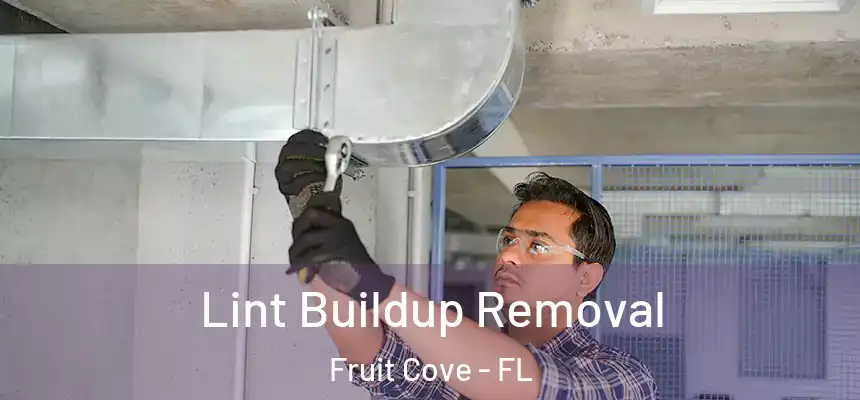 Lint Buildup Removal Fruit Cove - FL