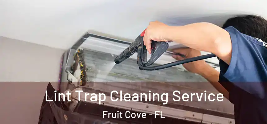 Lint Trap Cleaning Service Fruit Cove - FL