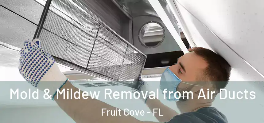 Mold & Mildew Removal from Air Ducts Fruit Cove - FL