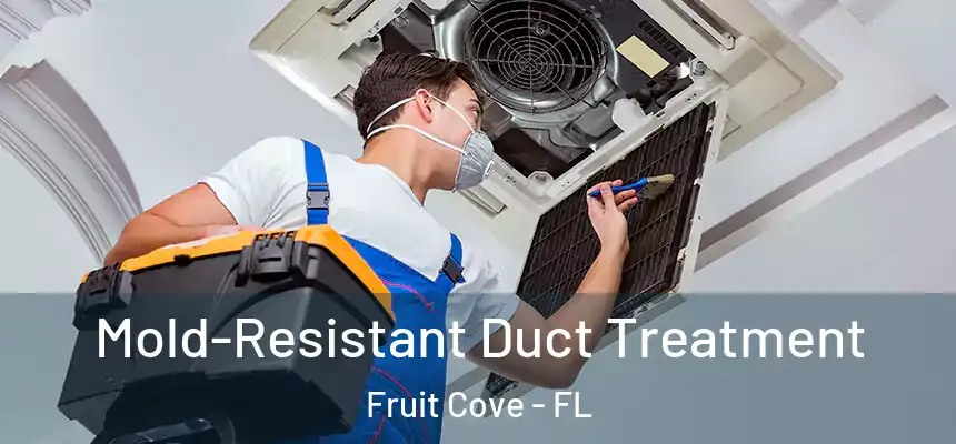 Mold-Resistant Duct Treatment Fruit Cove - FL