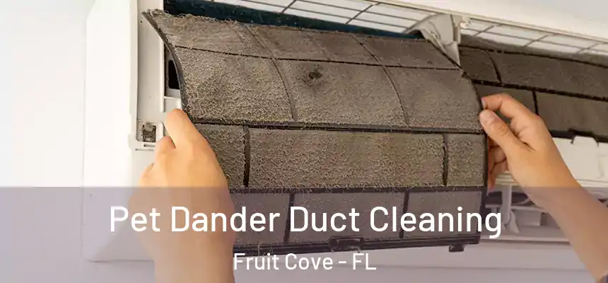 Pet Dander Duct Cleaning Fruit Cove - FL