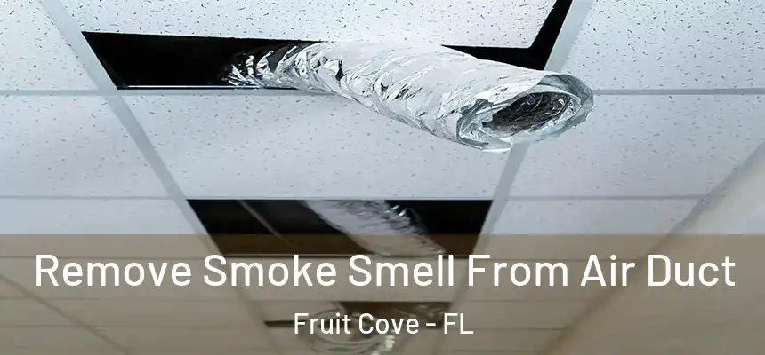 Remove Smoke Smell From Air Duct Fruit Cove - FL