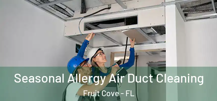 Seasonal Allergy Air Duct Cleaning Fruit Cove - FL