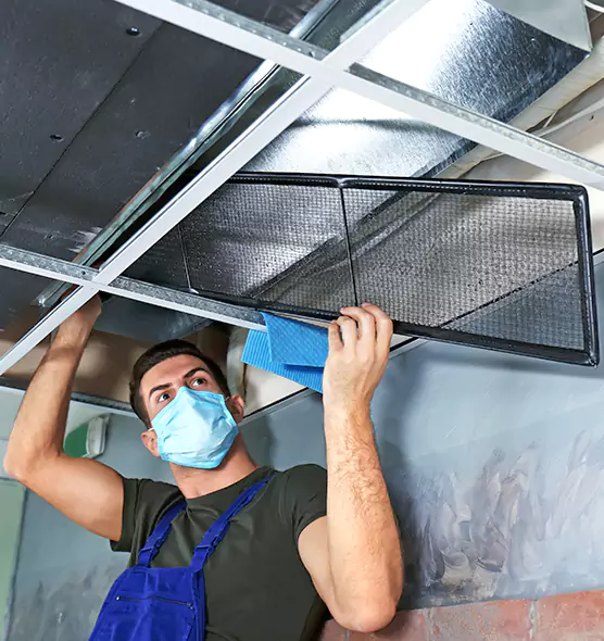 About Air Duct Bacteria Removal in Fruit Cove