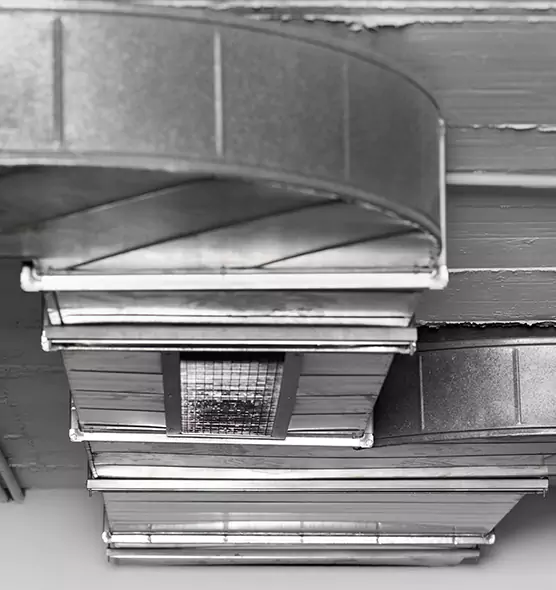 Professional Air Duct Pest Removal in Fruit Cove, FL