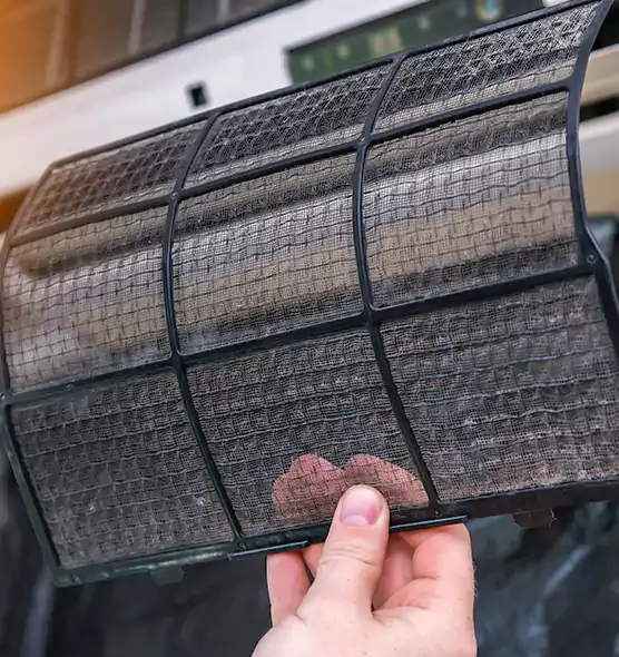 About Pet Dander Duct Cleaning in Fruit Cove, FL