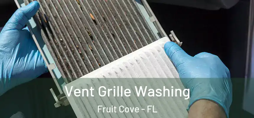 Vent Grille Washing Fruit Cove - FL