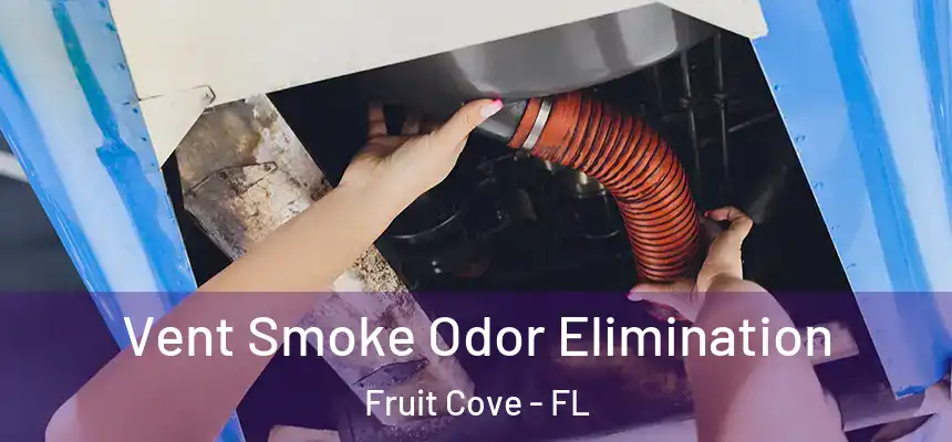 Vent Smoke Odor Elimination Fruit Cove - FL