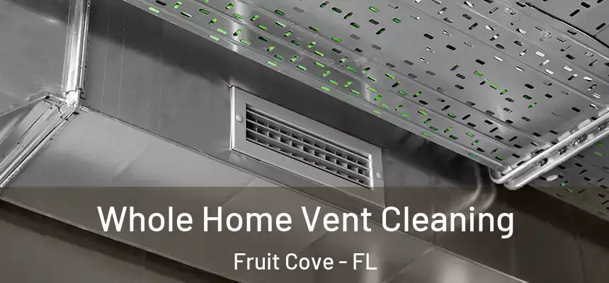 Whole Home Vent Cleaning Fruit Cove - FL