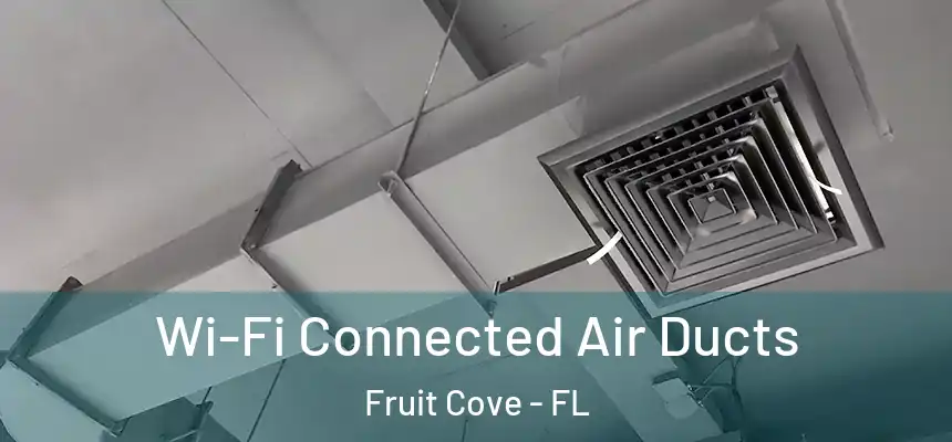 Wi-Fi Connected Air Ducts Fruit Cove - FL